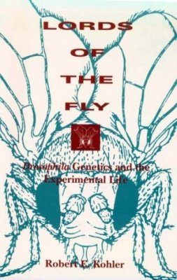 Lords of the Fly