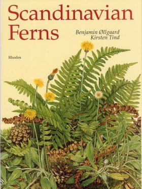 Scandinavian Ferns