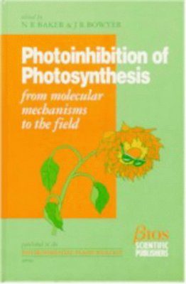 Photoinhibition of Photosynthesis: From Molecular Mechanisms to Field