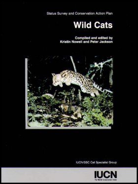 Wild Cats
