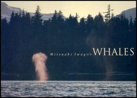 Mitsuaki Iwago's Whales