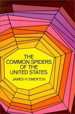 The Common Spiders of the United States