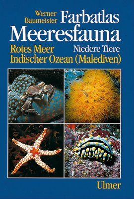 Farbatlas Meeresfauna: Niedere Tiere
