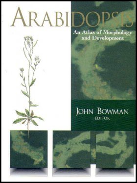 Arabidopsis: An Atlas of Morphology and Development