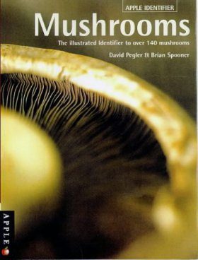Identifying Mushrooms