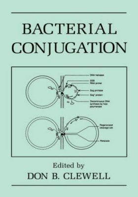 Bacterial Conjugation