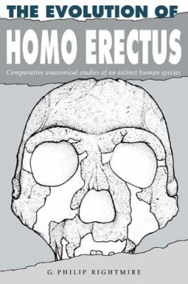 Evolution of Homo Erectus