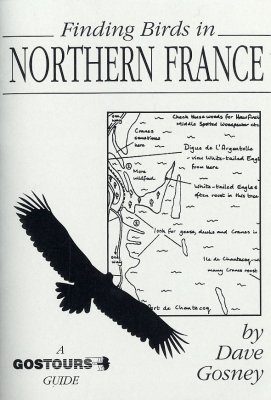 Finding Birds in Northern France
