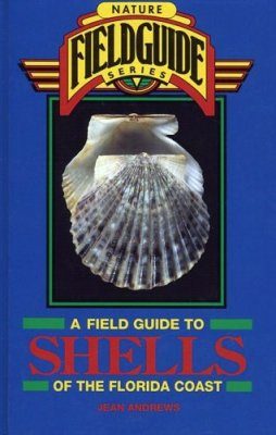 A Field Guide to Shells of the Florida Coast