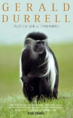 Catch Me A Colobus