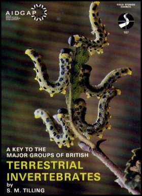 A Key to the Major Groups of British Terrestrial Invertebrates