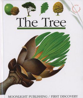 Trees: A Celebration in Photographs