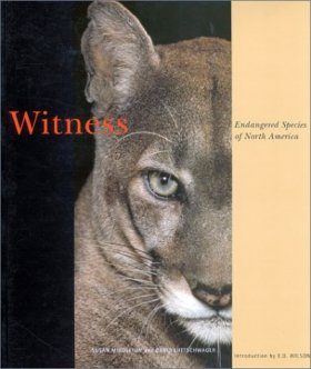 Witness: Endangered Species of North America