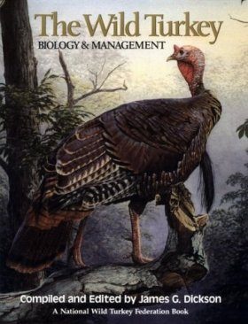The Wild Turkey