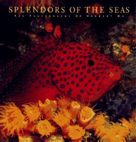 Splendours of the Seas