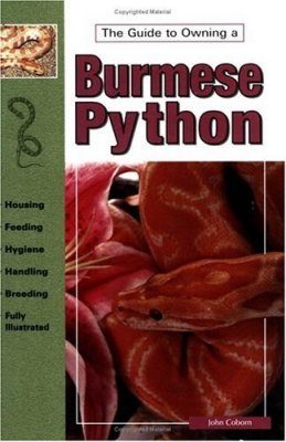 Burmese Pythons