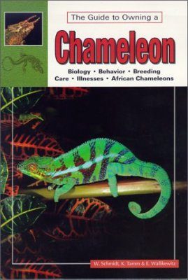 The Guide to Owning a Chameleon
