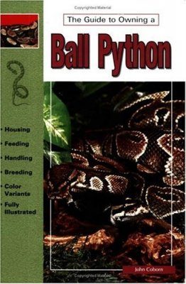 The Guide to Owning a Ball Python
