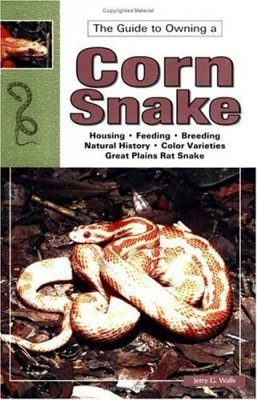 Corn and Red Rat Snakes