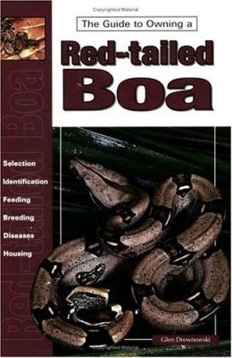 Red-Tailed Boas