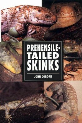 Prehensile-Tailed Skinks