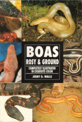 Rosy and Ground Boas