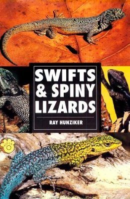 Swifts and Spiny Lizards