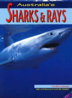 Australian Sharks and Rays