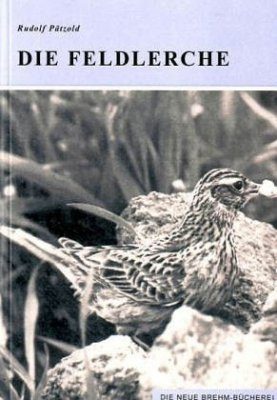 Die Feldlerche (Skylark)