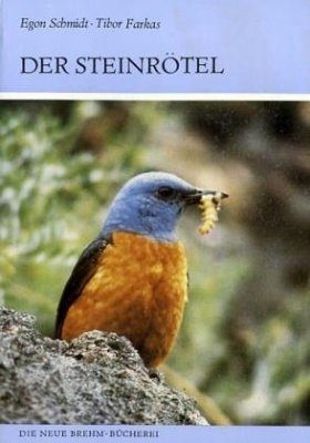 Der Steinrötel (Rock Thrush)