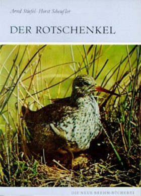 Der Rotschenkel (Redshank)