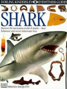 Eyewitness Guide: Shark