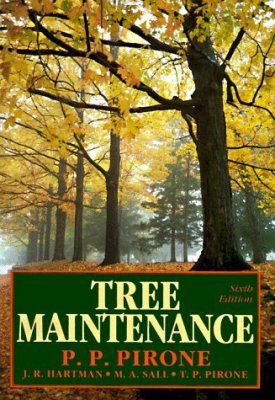Tree Maintenance