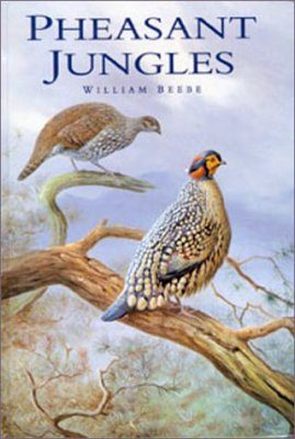 Pheasant Jungles