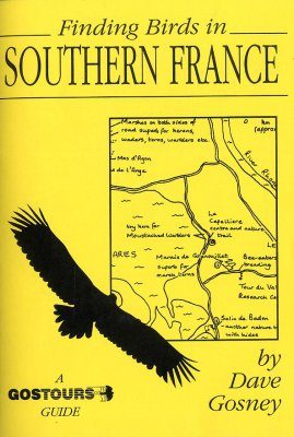 Finding Birds in Southern France