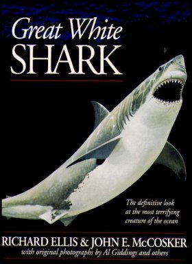 Great White Shark
