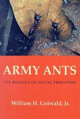 Army Ants