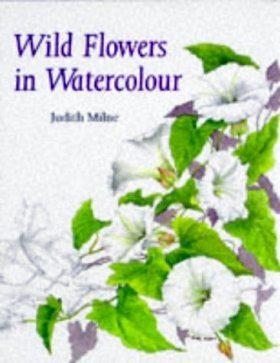 Wild Flowers in Watercolour