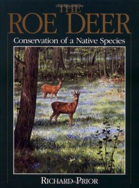 The Roe Deer