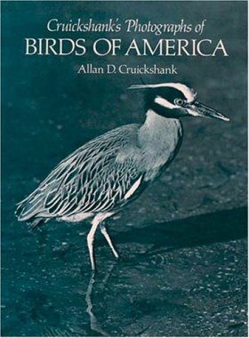 Photographs of Birds of America