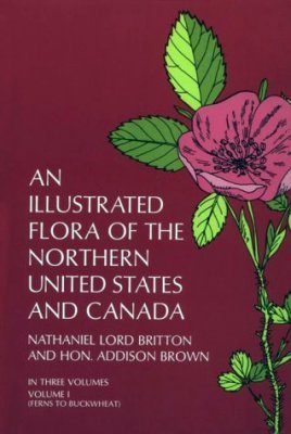 An Illustrated Flora of the Northern United States and Canada 1