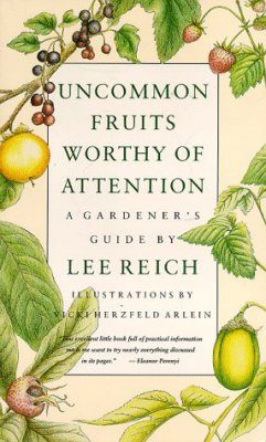 Uncommon Fruits Worthy of Attention