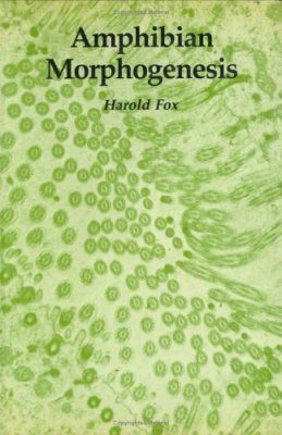 Amphibian Morphogenesis