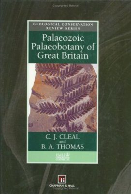 Palaeozoic Palaeobotany of Great Britain