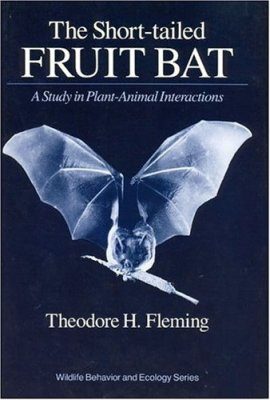 The Short-Tailed Fruit Bat