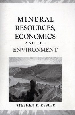 Mineral Resources, Economics and the Environment
