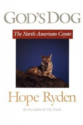 God's Dog: A Celebration of the North American Coyote
