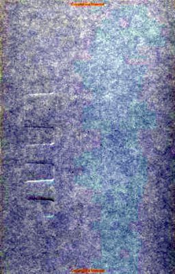 Statistical Ecology