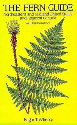 The Fern Guide