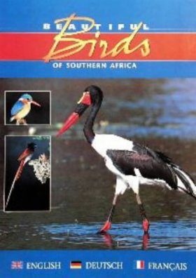 Beautiful Birds of Southern Africa